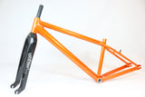 Bassett Super Menace 29 Frame with Technique Carbon Forks